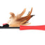 GiGwi Natural Feather Teaser - To Satisfy your Cats Natural Instincts!