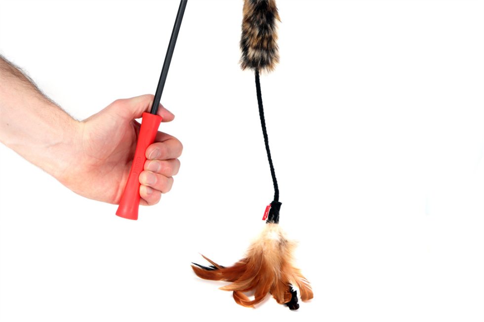 GiGwi Natural Feather Teaser - To Satisfy your Cats Natural Instincts!
