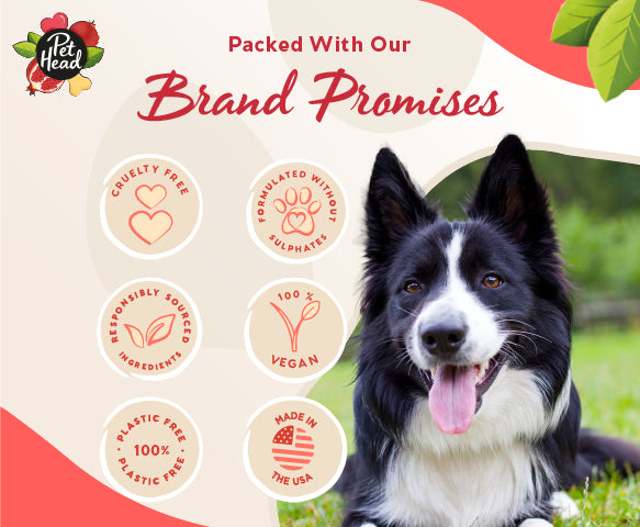 Pet Head Natural Pomegranate 3-in-1 Cleansing, Hydrating and Nourishing Shampoo Bar