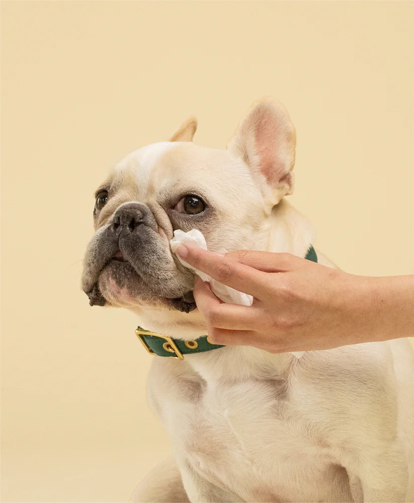 Squeaky Gentle Probiotic Pet Eye Wipes with Chamomile