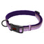 Company of Animals Quality Comfort Collar by Halti in Various Sizes – Purple
