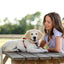 Company of Animals Walking Harness by Halti – for Full Freedom of Movement - Red