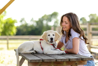 Company of Animals Walking Harness by Halti – for Full Freedom of Movement - Red