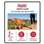 Company of Animals Active Lead by Halti - Perfect for Running, in Various Colours - Large