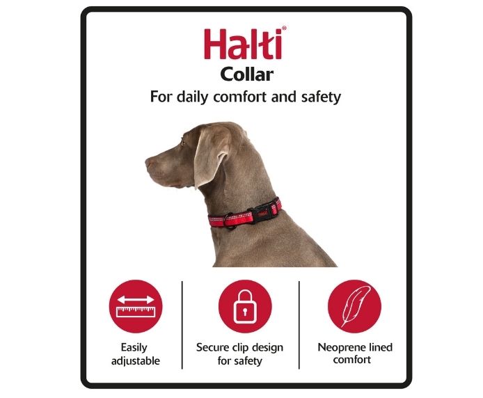 Company of Animals Quality Comfort Collar by Halti in Various Sizes – Red