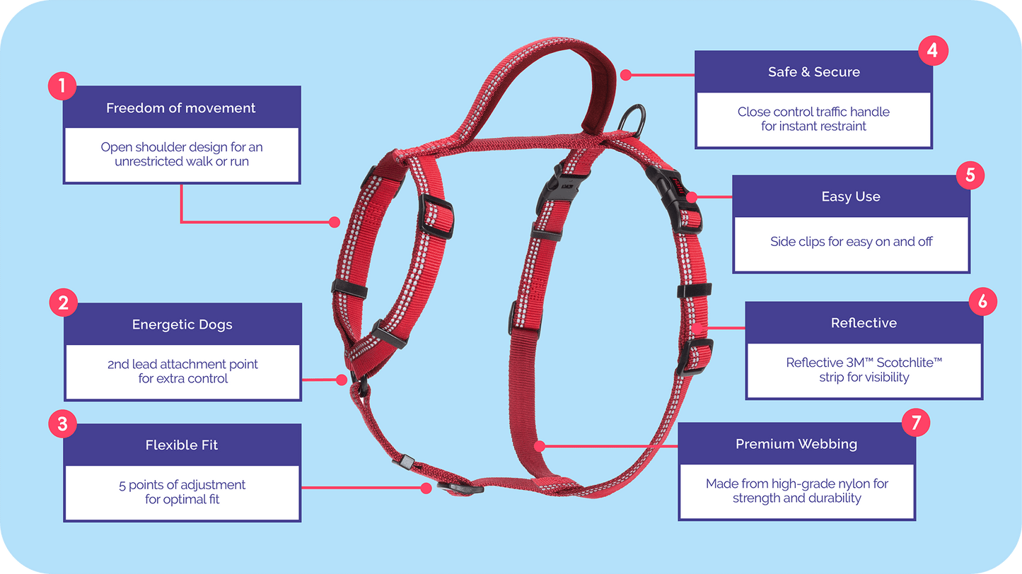 Company of Animals Walking Harness by Halti – for Full Freedom of Movement - Purple
