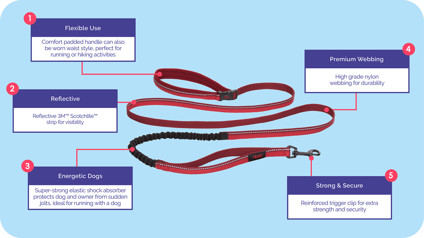 Company of Animals Active Lead by Halti - Perfect for Running, in Various Colours - Large