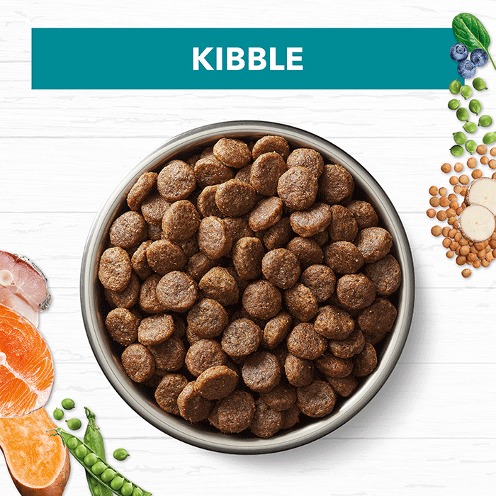 Ivory Coat Grain Free Adult Dog Food – Salmon & Ocean Fish