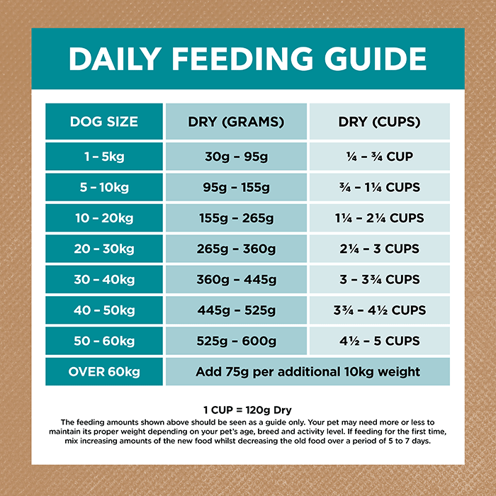 Ivory Coat Grain Free Adult Dog Food – Salmon & Ocean Fish