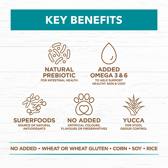 Ivory Coat Grain Free Adult Dog Food – Salmon & Ocean Fish