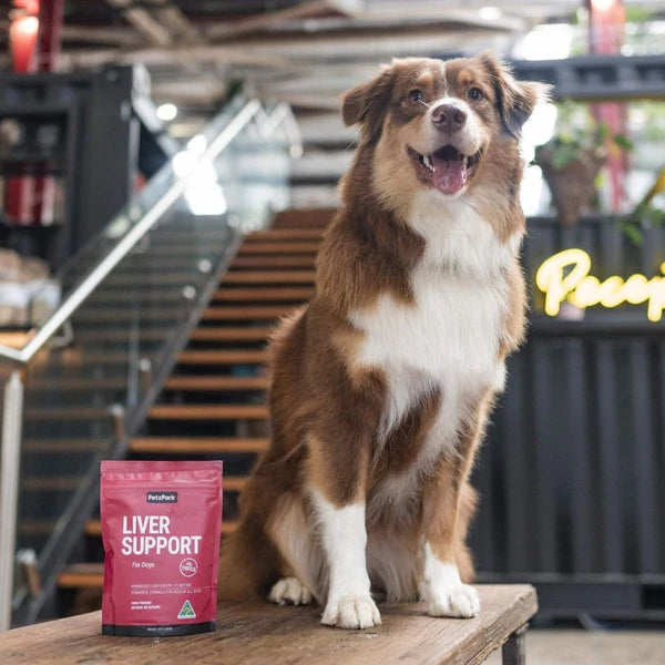 PetzPark – Liver Support For Dogs