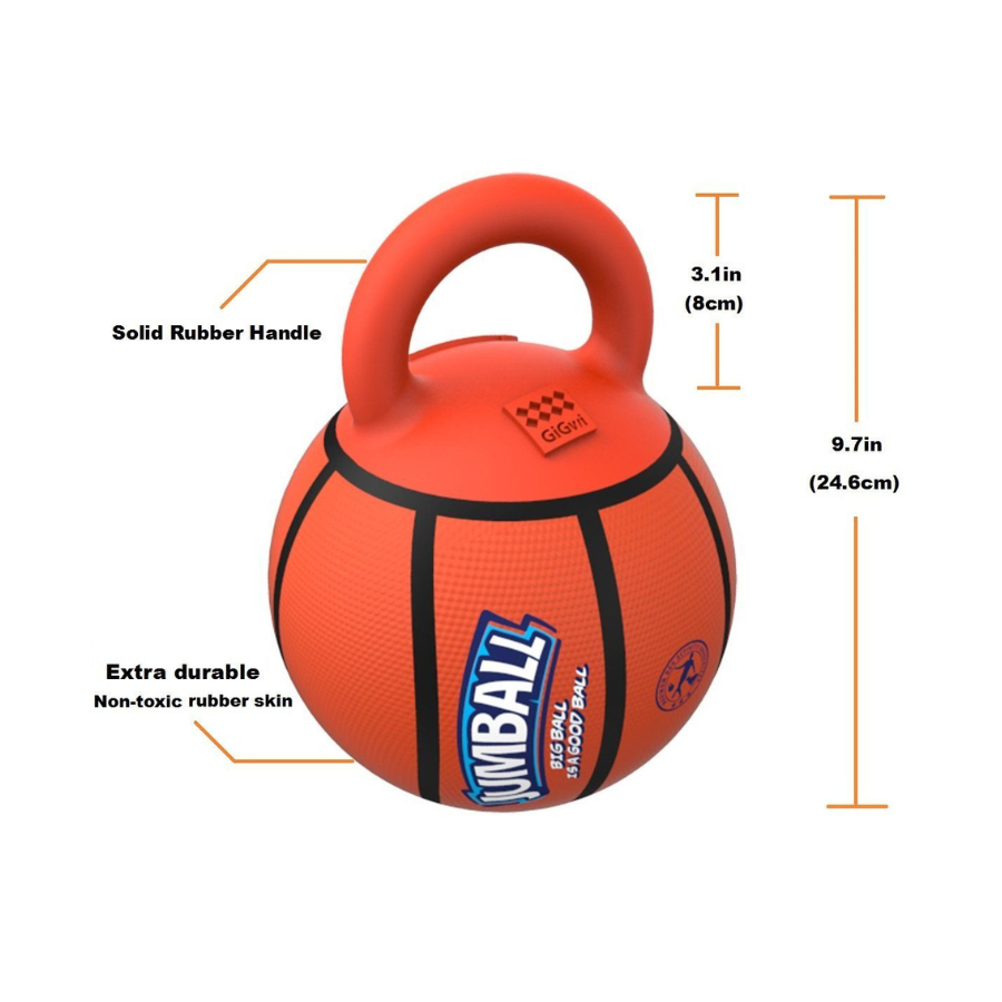 GiGwi – Jumball Basketball in Mini & Standard Sizes - For High Energy Dogs!