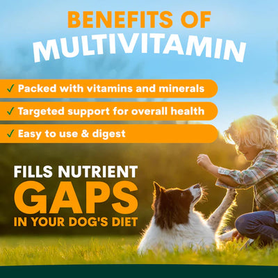 PetzPark – Multivitamin For Dogs