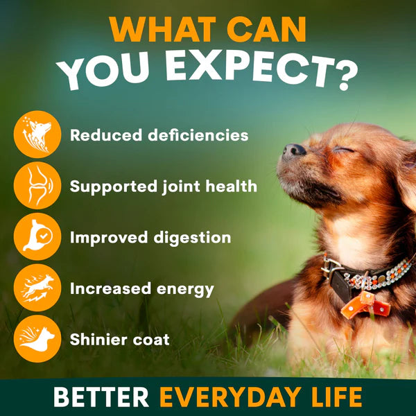 PetzPark – Multivitamin For Dogs
