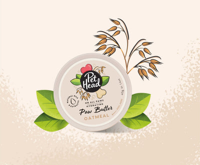 Pet Head On All Paws Moisturising Paw Butter