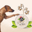 Pet Head On All Paws Moisturising Paw Butter
