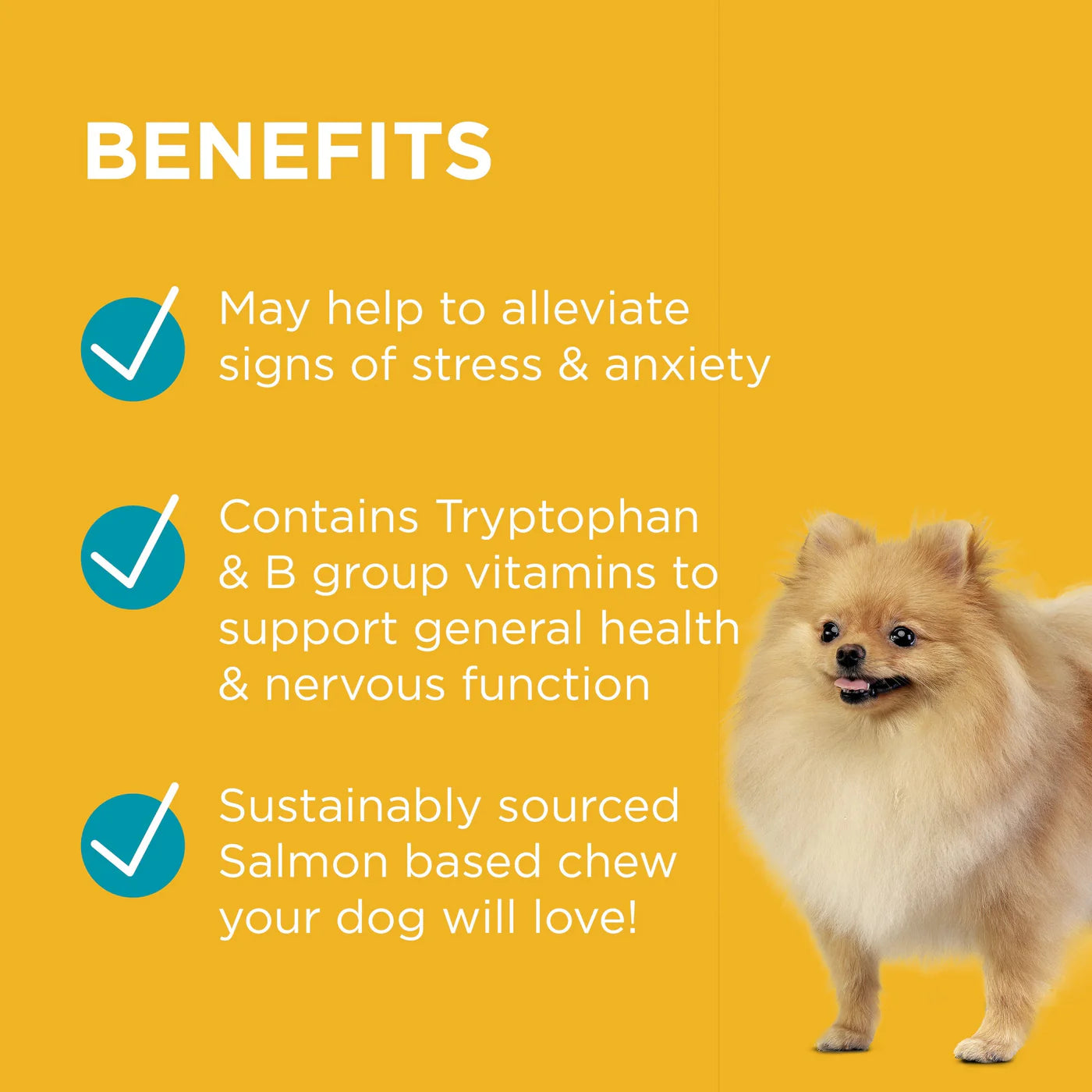 Blackmores Paw – Complete Calm Chews in Two Sizes