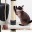 112cm Blue and White Cat Scratching Tree with Hanging Balls and Hanging Rope