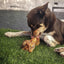 Huds and Toke Dog Treats – Dried Pork Puppy Clod, 1 Piece
