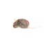GiGwi Refillable Catnip Naturals Mouse - Perfect for Batting, Tossing and Pouncing!