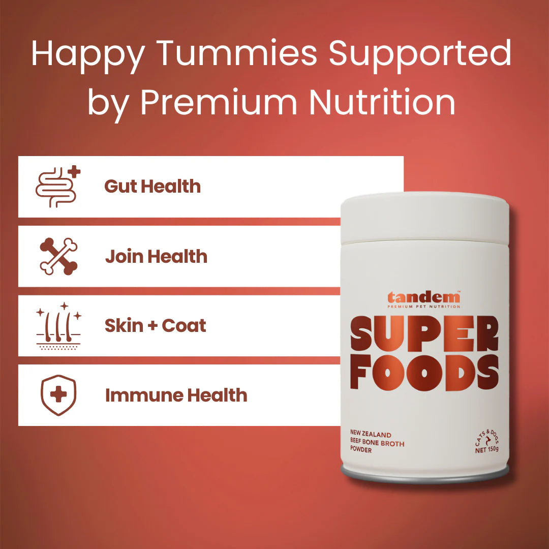 Tandem Super Foods – New Zealand Beef Bone Broth Powder for Cats & Dogs