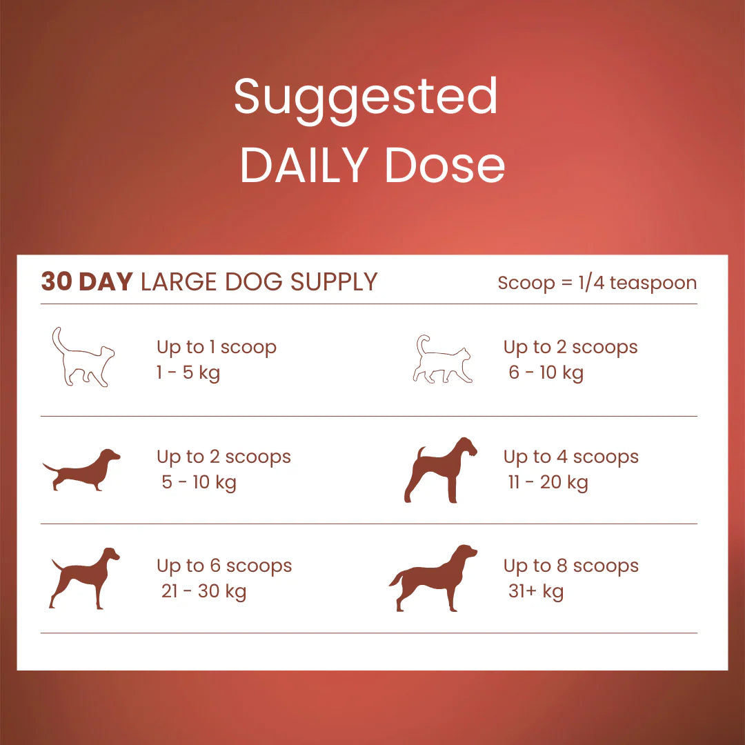 Tandem Super Foods – New Zealand Beef Bone Broth Powder for Cats & Dogs