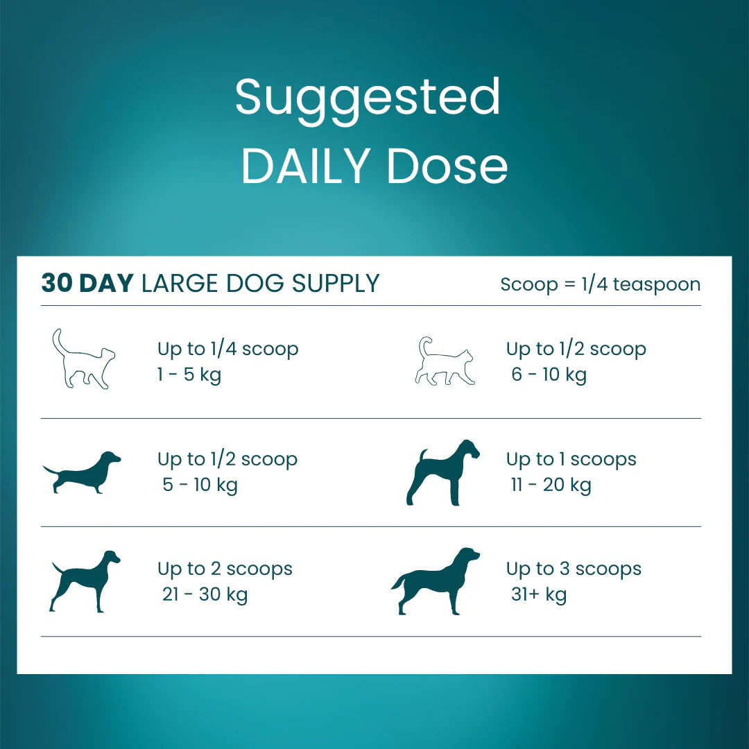 Tandem Super Foods – New Zealand Green Lipped Mussel Powder for Cats & Dogs