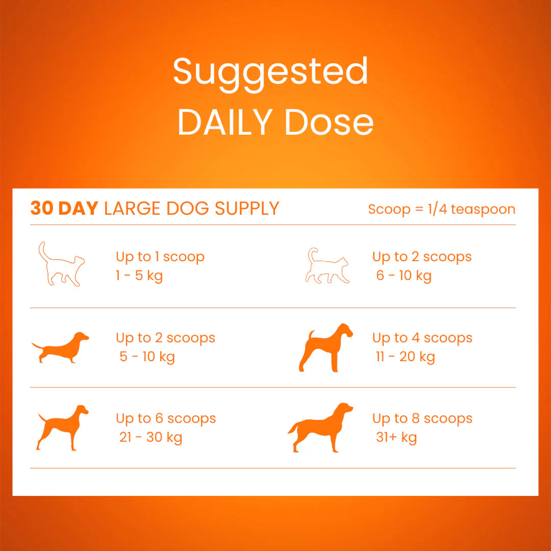 Tandem Super Foods – New Zealand Pumpkin Powder for Cats and Dogs