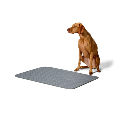 Snooza Washable & Reusable Pee Training Pad in Two Sizes