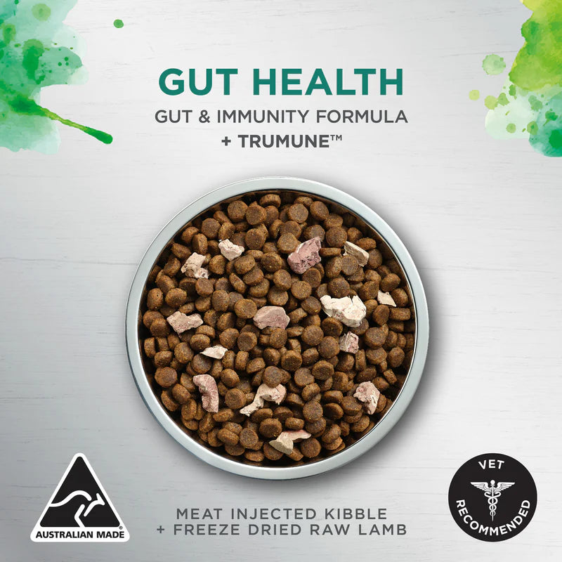 Ivory Coat Raw Health Adult Dog Food – Gut Health