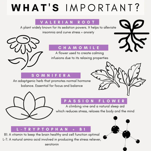 PetzPark – Stress + Anxiety For Dogs