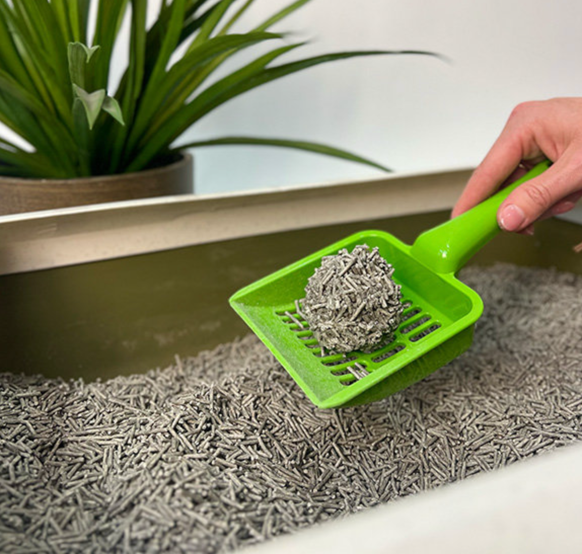 PooWee! Eco Friendly Tofu Cat Litter 5kg