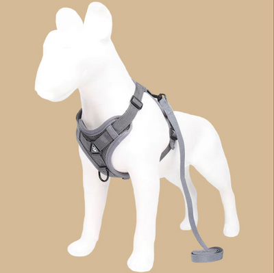 Adjustable Harness and Leash Set with Reflective Trim - Breathable Air Mesh - Large