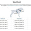 Journey Air Dog Harness by Kurgo - Perfect for Strong, Active Dogs!