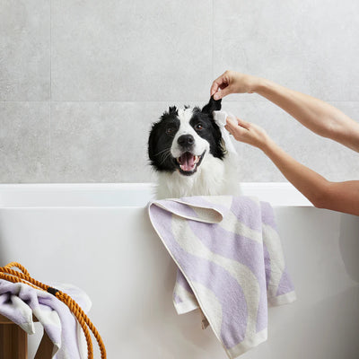 Squeaky Gentle Probiotic Pet Ear Wipes with Witch Hazel