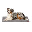 Snooza SupaDry Microfibre Noodle Mat in Zinc - Highly Absorbent, Great for Wet Paws