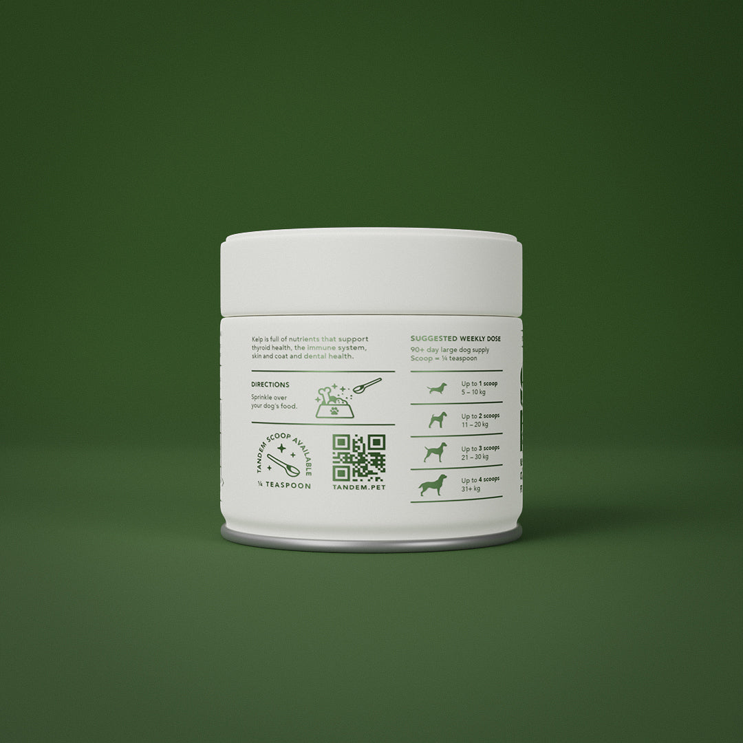 Tandem Super Foods – New Zealand Organic Kelp Powder for Cats & Dogs