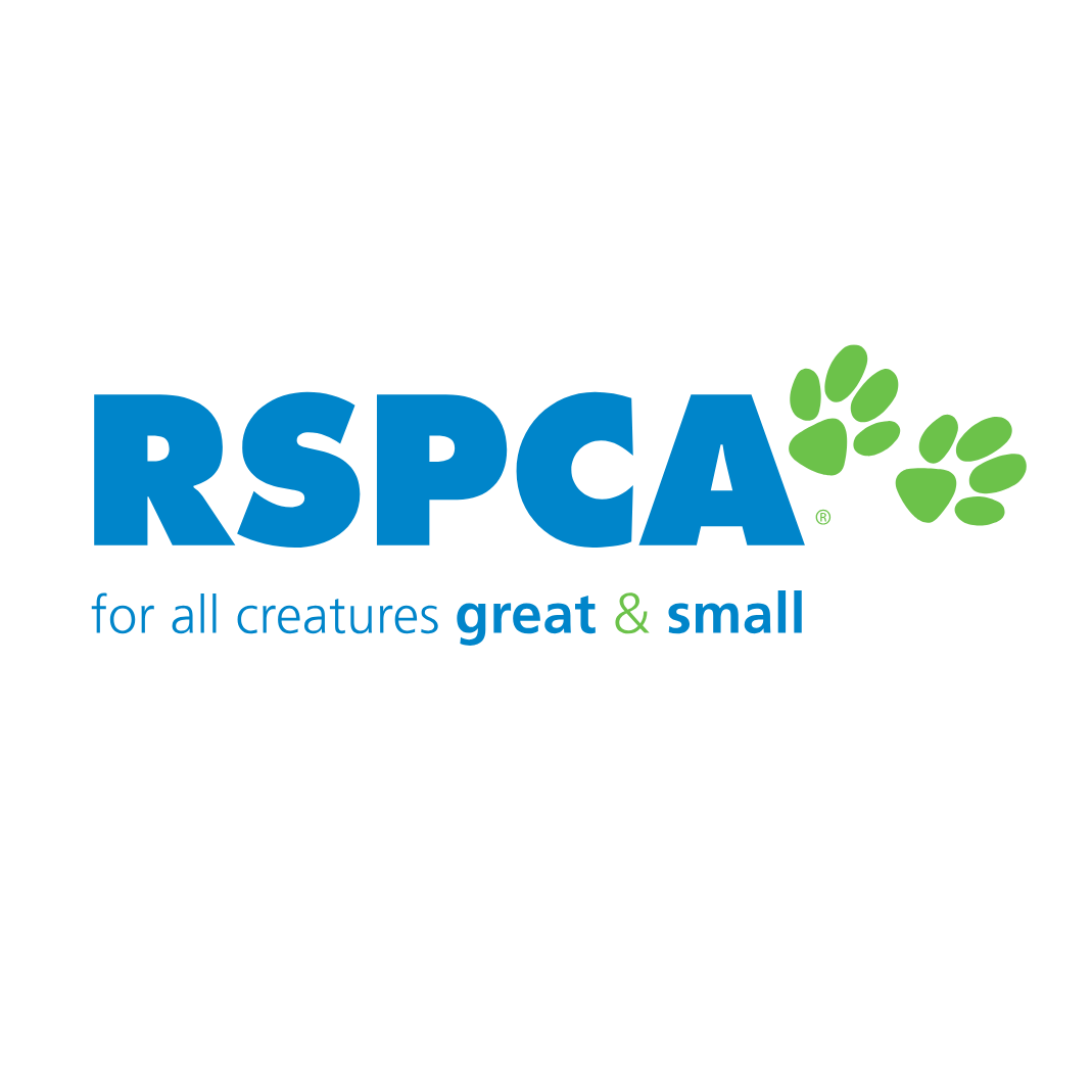 Give Hope to Homeless Pets – Donate to RSPCA