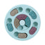Fun Puzzle Feeder for Mental Enrichment While Dining! (Blue)