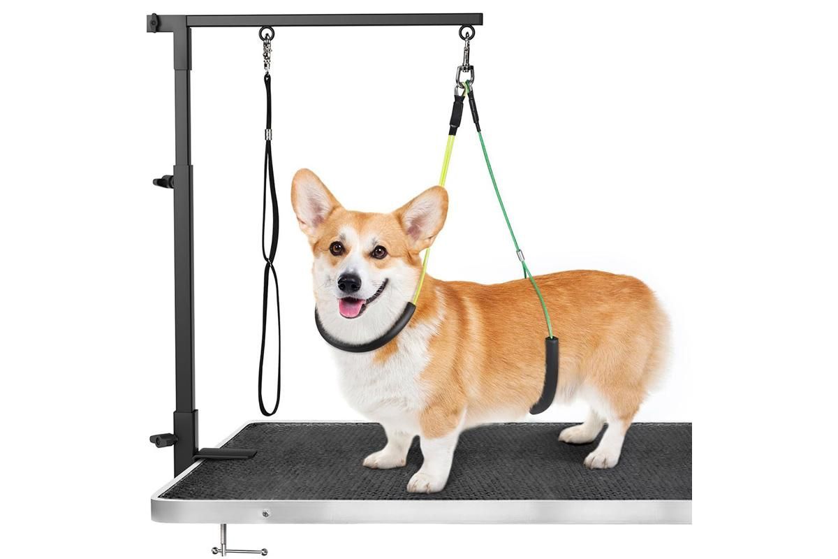 Grooming Arm/ Stand - Safely Secure Your Dog for Grooming - For Small to Medium Dogs