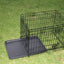 24' Steel Foldable Dog Crate