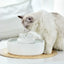 2.1L White Cupcake Style Electric Ceramic Water Fountain for Cats and Small Dogs