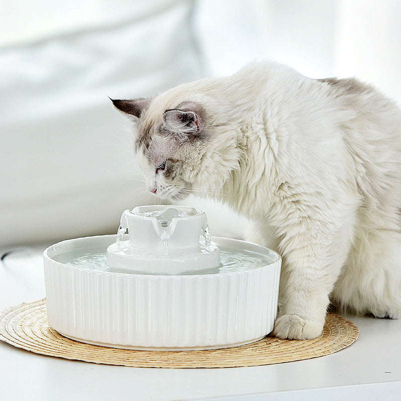 2.1L White Cupcake Style Electric Ceramic Water Fountain for Cats and Small Dogs
