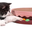 Compact Turntable Cat Scratcher with Circular Ball Track - Pink