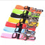Adjustable Pet Harness for Car Travel with Seat Belt Clip Attachment - Purple
