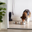 Classic Non Slip Stainless Steel Pet Bowl - Large (500ml)