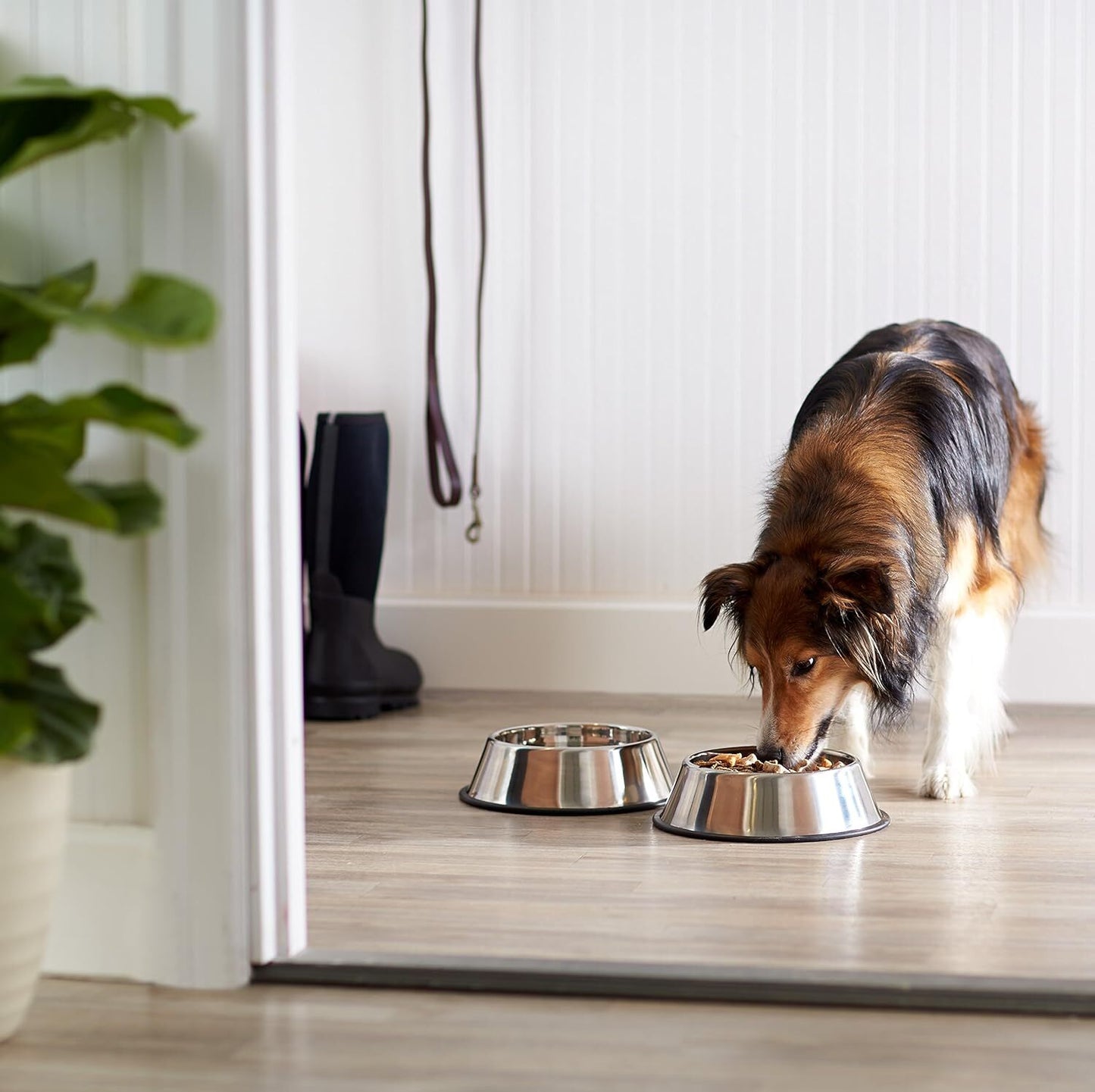 Classic Non Slip Stainless Steel Pet Bowl - Large (500ml)