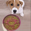 Planet Saturn Slow Feeder Dog Bowl - 2-in-1 Design for Healthy Eating - Red