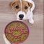 Planet Saturn Slow Feeder Dog Bowl - 2-in-1 Design for Healthy Eating - Green