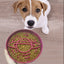 Planet Saturn Slow Feeder Dog Bowl - 2-in-1 Design for Healthy Eating - Purple